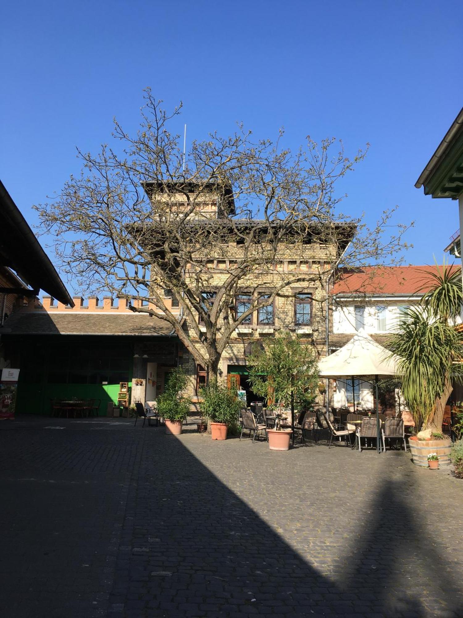 Gaestehaus Guntersblum 외부 사진