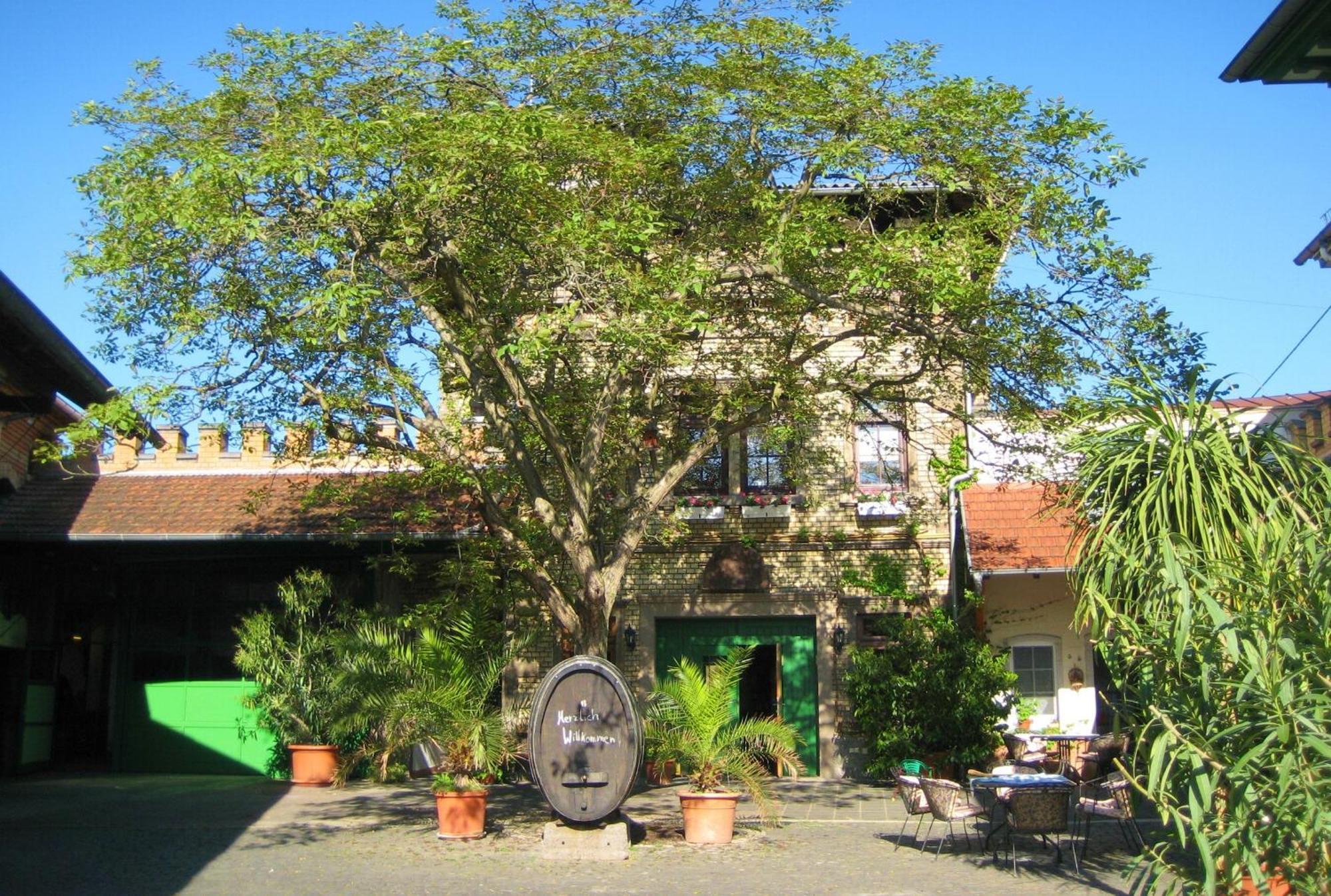 Gaestehaus Guntersblum 외부 사진